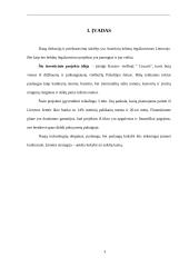 Investicinis projekto įvertinimas 3 puslapis