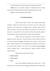 Investicinis projekto įvertinimas 5 puslapis