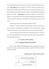 Investicinis projekto įvertinimas 6 puslapis