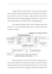 Investicinis projekto įvertinimas 7 puslapis
