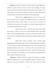 Investicinis projekto įvertinimas 9 puslapis