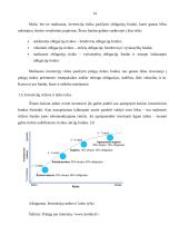 Investicinių fondų vystymosi tendencijos pasaulyje 13 puslapis