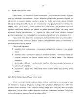 Investicinių fondų vystymosi tendencijos pasaulyje 17 puslapis