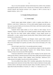 Išteklių taupymas ir racionalus jų panaudojimas 11 puslapis