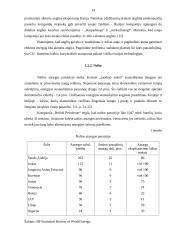 Išteklių taupymas ir racionalus jų panaudojimas 13 puslapis