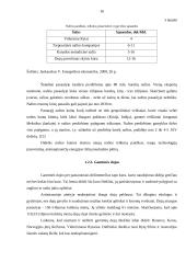 Išteklių taupymas ir racionalus jų panaudojimas 15 puslapis