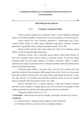 Išteklių taupymas ir racionalus jų panaudojimas 4 puslapis