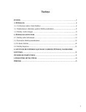 Išteklių taupymo ir racionalaus jų panaudojimo problemos Lietuvoje 2 puslapis