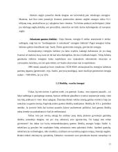 Išteklių taupymo ir racionalaus jų panaudojimo problemos Lietuvoje 11 puslapis