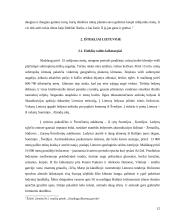 Išteklių taupymo ir racionalaus jų panaudojimo problemos Lietuvoje 12 puslapis