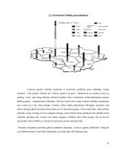 Išteklių taupymo ir racionalaus jų panaudojimo problemos Lietuvoje 13 puslapis