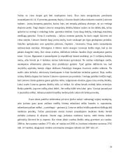 Išteklių taupymo ir racionalaus jų panaudojimo problemos Lietuvoje 14 puslapis