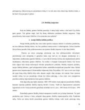 Išteklių taupymo ir racionalaus jų panaudojimo problemos Lietuvoje 16 puslapis