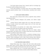 Išteklių taupymo ir racionalaus jų panaudojimo problemos Lietuvoje 18 puslapis