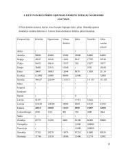 Išteklių taupymo ir racionalaus jų panaudojimo problemos Lietuvoje 19 puslapis