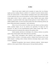 Išteklių taupymo ir racionalaus jų panaudojimo problemos Lietuvoje 3 puslapis