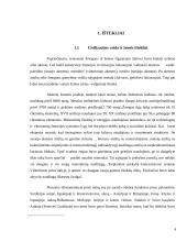 Išteklių taupymo ir racionalaus jų panaudojimo problemos Lietuvoje 4 puslapis