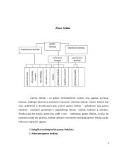 Išteklių taupymo ir racionalaus jų panaudojimo problemos Lietuvoje 6 puslapis