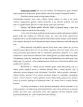 Išteklių taupymo ir racionalaus jų panaudojimo problemos Lietuvoje 9 puslapis