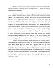 Išteklių taupymo ir racionalaus jų panaudojimo problemos Lietuvoje 10 puslapis