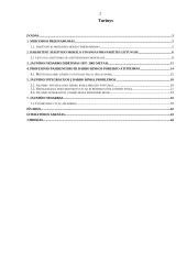 Jaunimo integracijos į darbo rinką problemos 2 puslapis