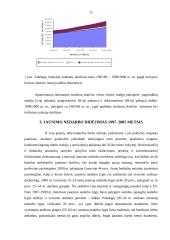 Jaunimo integracijos į darbo rinką problemos 11 puslapis