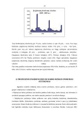 Jaunimo integracijos į darbo rinką problemos 14 puslapis