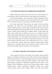 Jaunimo integracijos į darbo rinką problemos 19 puslapis