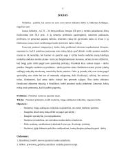 Jaunimo integracijos į darbo rinką problemos 3 puslapis