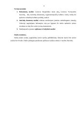 Jaunimo integracijos į darbo rinką problemos 4 puslapis