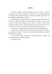 Kalbos etiketo vaidmuo paslaugų sferos darbuotojų kalboje 2 puslapis