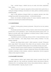 Kalbos etiketo vaidmuo paslaugų sferos darbuotojų kalboje 11 puslapis