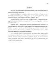 Kalbos etiketo vaidmuo paslaugų sferos darbuotojų kalboje 13 puslapis