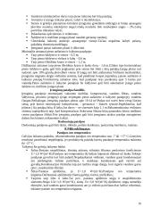 Karvidės. Karvidžių įrengimas 16 puslapis