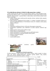 Karvidės. Karvidžių įrengimas 3 puslapis