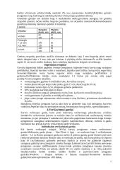 Karvidės. Karvidžių įrengimas 7 puslapis