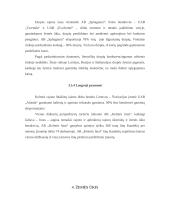 Kelmės rajono aplinkos įvertinimas 11 puslapis