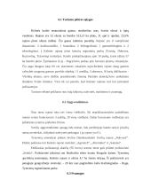 Kelmės rajono aplinkos įvertinimas 15 puslapis