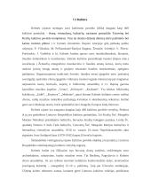 Kelmės rajono aplinkos įvertinimas 19 puslapis