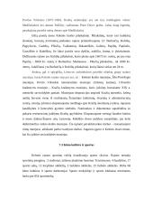 Kelmės rajono aplinkos įvertinimas 20 puslapis