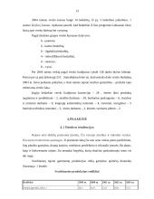 Kelmės rajono plėtros analizė 13 puslapis