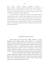 Kelmės rajono plėtros analizė 19 puslapis