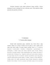 Kelmės rajono plėtros analizė 20 puslapis