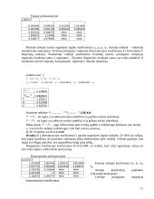 Kiekybinių sprendimo metodų praktinės užduotys 10 puslapis