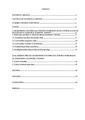 Klaipėdos miesto akademinio jaunimo kultūriniai poreikiai ir jų tenkinimo galimybės 2 puslapis