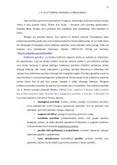 Klaipėdos miesto akademinio jaunimo kultūriniai poreikiai ir jų tenkinimo galimybės 15 puslapis