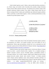 Klaipėdos miesto akademinio jaunimo kultūriniai poreikiai ir jų tenkinimo galimybės 16 puslapis