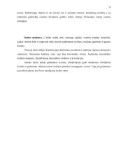 Klaipėdos miesto akademinio jaunimo kultūriniai poreikiai ir jų tenkinimo galimybės 8 puslapis