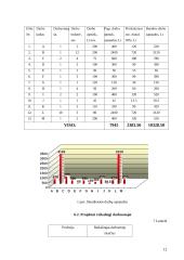 Klientų buitinių problemų sprendimo tobulinimas 12 puslapis