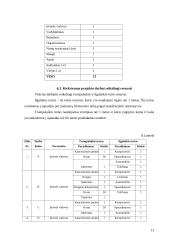 Klientų buitinių problemų sprendimo tobulinimas 13 puslapis